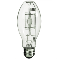 Ampoules pour lampe de travail Equipex