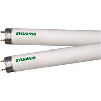 Lampes fluorescentes, 32 W, T8, 4100 K, Longueur de 48" Equipex