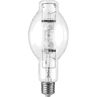 HID Bulbs