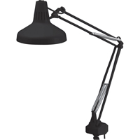 Heavy-duty Combination Task Light, 22/60 W, Fluorescent/Incandescent, 45" Neck, Black Equipex