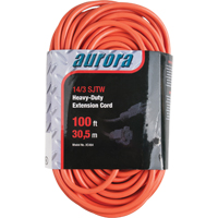 Vinyl Extension Cord, Outdoor, SJTW, 14/3 AWG, 13 A, 100' Equipex