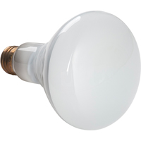 Lampes &agrave; incandescence &eacute;conomiques Equipex