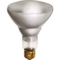 Lampes &agrave; incandescence &eacute;conomiques Equipex