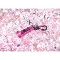 Lampes de poche Nano Light Equipex