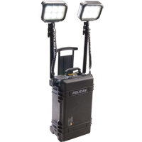 9460 Remote Area Lighting Systems, LED, 12,000 Lumens, Plastic Housing Equipex