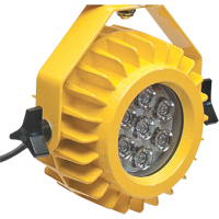 Heavy-Duty LED Dock Light - Head Only Equipex