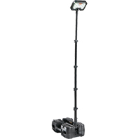 9490 Remote Area Lighting Systems, LED, 53.3 W, 6000 Lumens, Plastic Housing Equipex