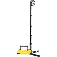 Lampes de sc&egrave;ne portables et rechargeables, DEL, 36 W, 5300 lumens, Boîtier en Plastique Equipex