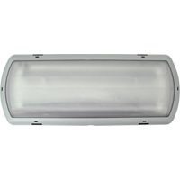 Luminaire de secours Tempesta, Plastique, DEL, 120 - 347 V Equipex