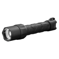 Hand-Held Flashlight