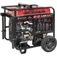 V-Twin Gasoline Generator, 15000 W Surge, 12500 W Rated, 120 V/240 V, 40 L Tank Equipex