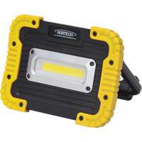 Lampe de travail portative, DEL, 10 W, 1000 lumens, Boîtier en Plastique Equipex