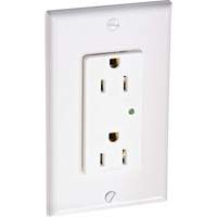 Surge Protective Decora&reg; Outlet Equipex