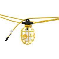Chaînes de lumi&egrave;res DEL, 10 Lumi&egrave;res, 1200" lo, Boîtier en Plastique Equipex