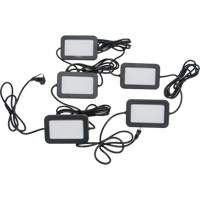 LED String Work Lights, 5 Lights, 50' L, Plastic Housing Equipex