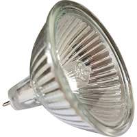Ampoule de rechange MR16 Equipex