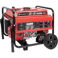 Electric Start Gas Generator with Wheel Kit, 6500 W Surge, 5000 W Rated, 120 V/240 V, 20 L Tank Equipex