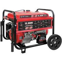 Gasoline Generator with Electric Start, 10000 W Surge, 7500 W Rated, 120 V/240 V, 25 L Tank Equipex