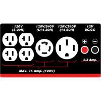 G&eacute;n&eacute;ratrice &agrave; essence/propane &agrave; d&eacute;marreur &eacute;lectrique Equipex