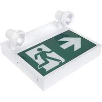 Enseigne d'homme qui court avec &eacute;clairage de s&eacute;curit&eacute;, DEL, &agrave; piles/&agrave; raccordement fixe, 12-1/10" lo x 11" la, Pictogramme Equipex