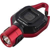 Lampe de poche USB Pocket Mate Equipex