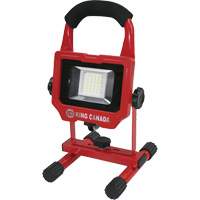 Work Light, LED, 15 W, 1500 Lumens, Aluminum Housing Equipex