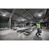 RADIUS Temporary Site Light, LED, 130 W, 15000 Lumens Equipex