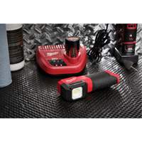 M12 Paint and Detailing Color Match Light, LED, 1000 Lumens Equipex