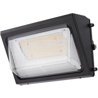 Luminaire mural, DEL, 120 -347 V, 80 W Equipex