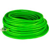 Cordon rallonge de calibre industriel, Toutes saisons, SJTW, AWG 10/3, 15 A, 50' Equipex