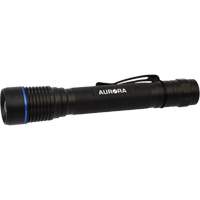 Lampe de poche IPX7, DEL, 250 lumens, Piles AA Equipex