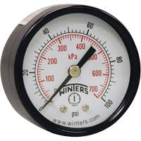 Economy Pressure Gauge, 2" , 0 - 160 psi, Back Mount, Analogue Equipex