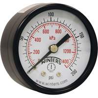 Economy Pressure Gauge, 2" , 0 - 200 psi, Back Mount, Analogue Equipex