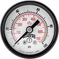 Economy Pressure Gauge, 1-1/2" , 0 - 100 psi, Back Mount, Analogue Equipex