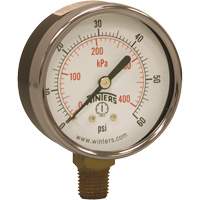 Economy Pressure Gauge, 2-1/2" , 0 - 60 psi, Bottom Mount, Analogue Equipex
